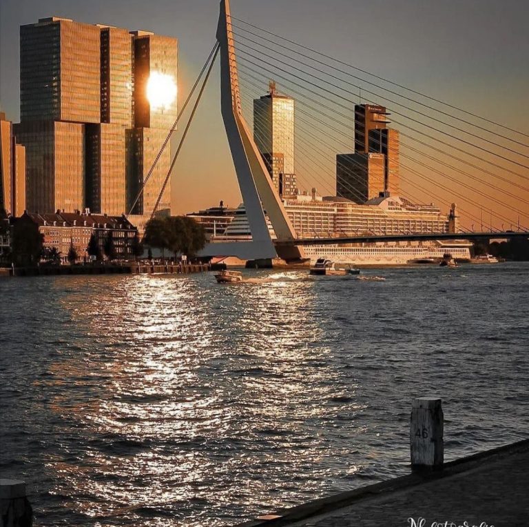 Cruise rotterdam